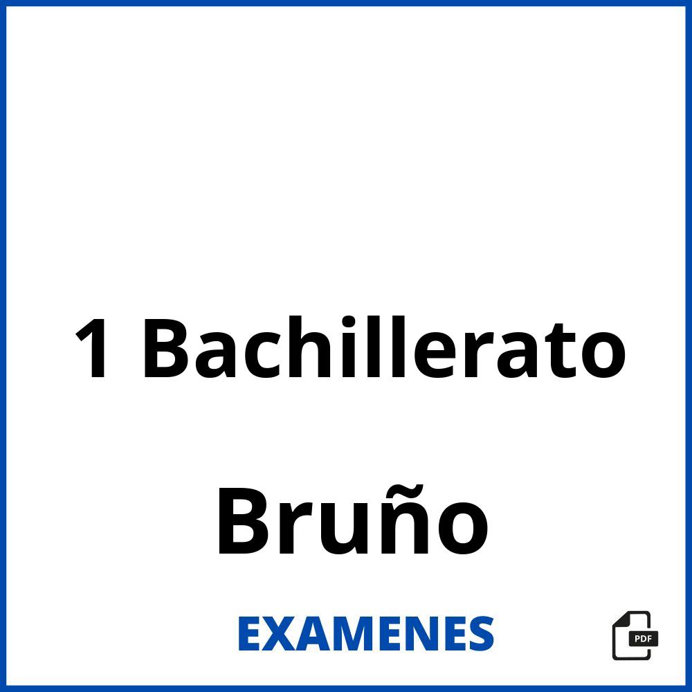 1 Bachillerato Bruño