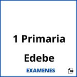 Examenes 1 Primaria Edebe PDF
