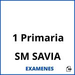 Examenes 1 Primaria SM SAVIA PDF