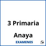 Examenes 3 Primaria Anaya PDF