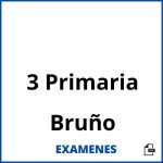Examenes 3 Primaria Bruño PDF