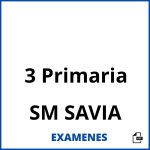 Examenes 3 Primaria SM SAVIA PDF