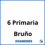 Examenes 6 Primaria Bruño PDF