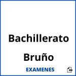 Examenes Bachillerato Bruño PDF
