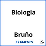 Examenes Biologia Bruño PDF