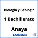 Examenes Biologia y Geologia 1 Bachillerato Anaya PDF