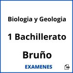 Examenes Biologia y Geologia 1 Bachillerato Bruño PDF