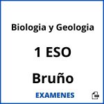 Examenes Biologia y Geologia 1 ESO Bruño PDF