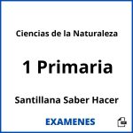 Examenes Ciencias de la Naturaleza 1 Primaria Santillana Saber Hacer PDF