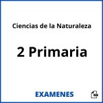 Examenes Ciencias de la Naturaleza 2 Primaria PDF