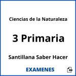Examenes Ciencias de la Naturaleza 3 Primaria Santillana Saber Hacer PDF