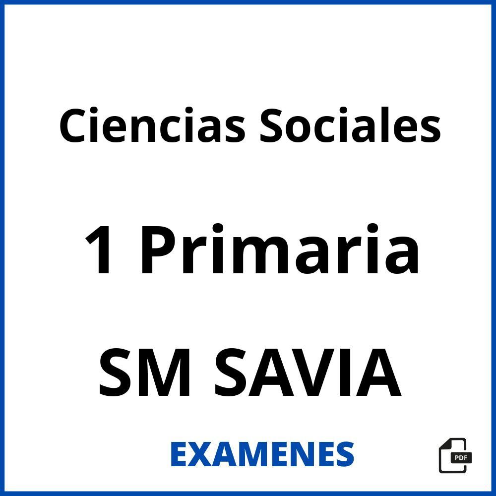 Examenes Ciencias Sociales 1 Primaria Sm Savia Pdf 2023 6351
