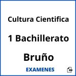 Examenes Cultura Cientifica 1 Bachillerato Bruño PDF