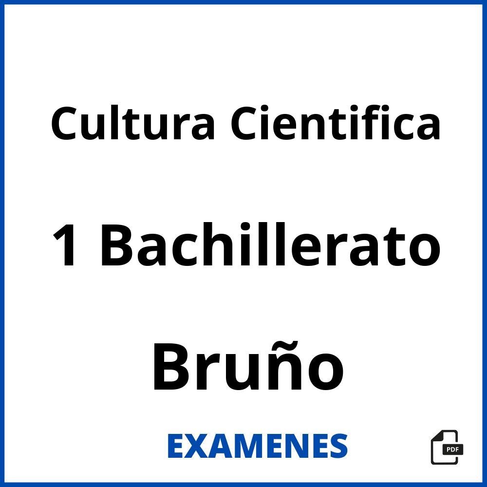 Cultura Cientifica 1 Bachillerato Bruño