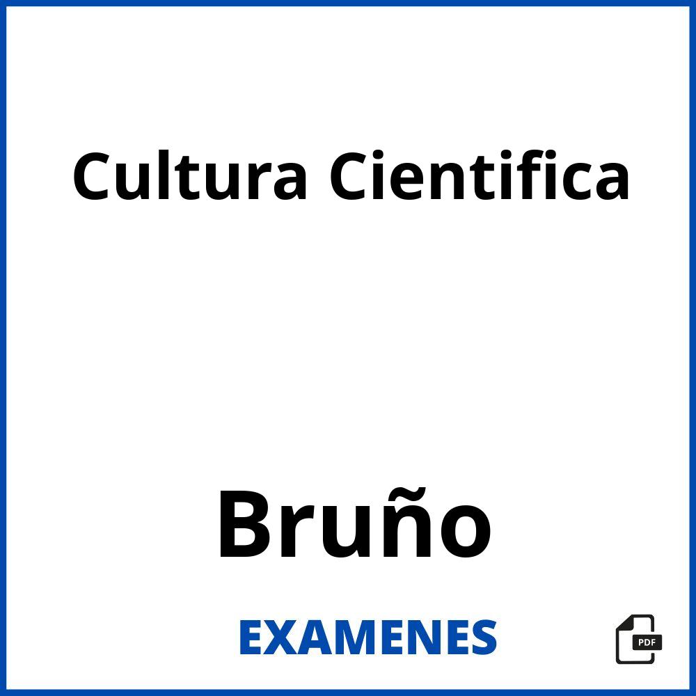 Cultura Cientifica Bruño