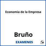 Examenes Economia de la Empresa Bruño PDF