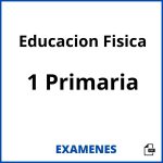 Examenes Educacion Fisica 1 Primaria PDF