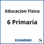 Examenes Educacion Fisica 6 Primaria PDF