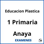 Examenes Educacion Plastica 1 Primaria Anaya PDF