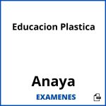 Examenes Educacion Plastica Anaya PDF