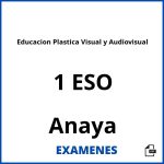 Examenes Educacion Plastica Visual y Audiovisual 1 ESO Anaya PDF