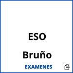 Examenes ESO Bruño PDF