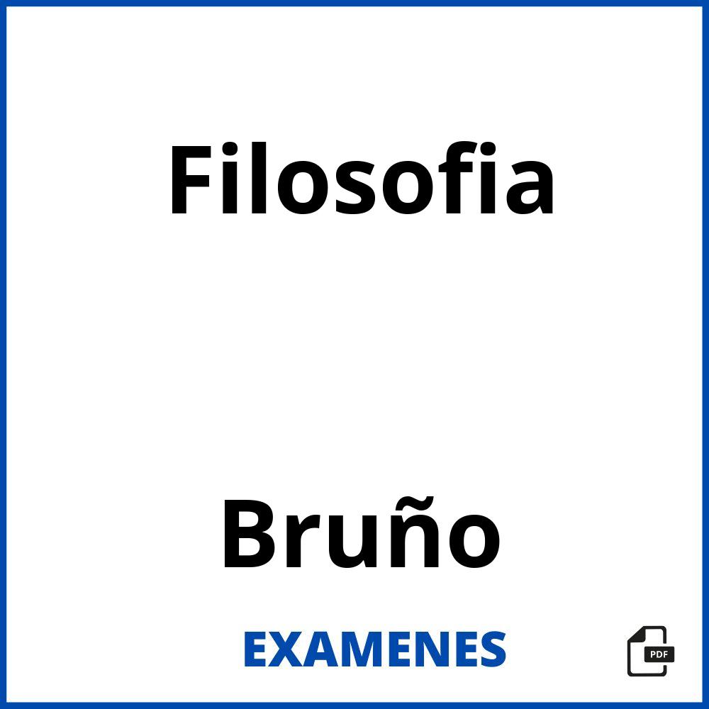 Filosofia Bruño