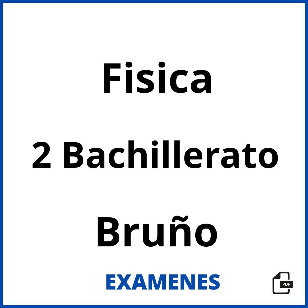 Fisica 2 Bachillerato Bruño