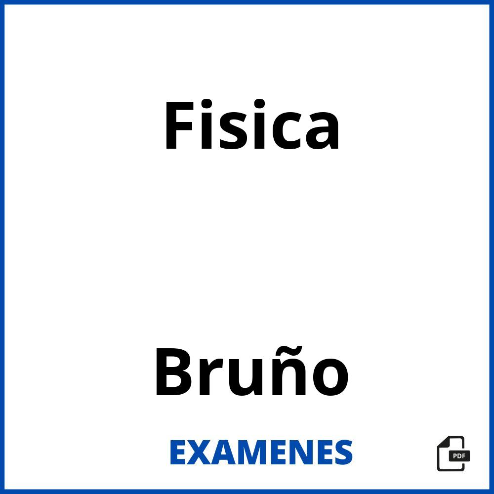 Fisica Bruño