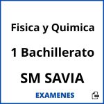 Examenes Fisica y Quimica 1 Bachillerato SM SAVIA PDF