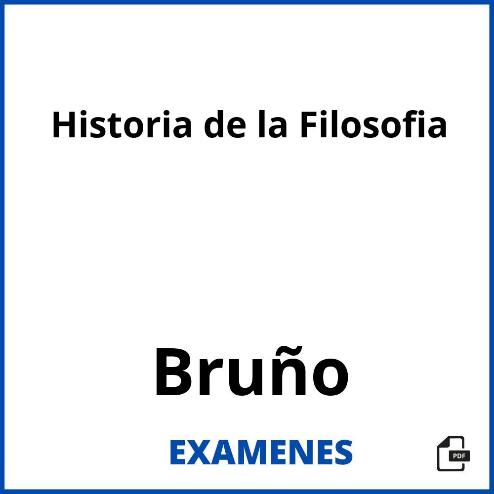 Historia de la Filosofia Bruño