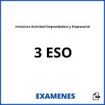 Examenes Iniciacion Actividad Emprendedora y Empresarial 3 ESO PDF