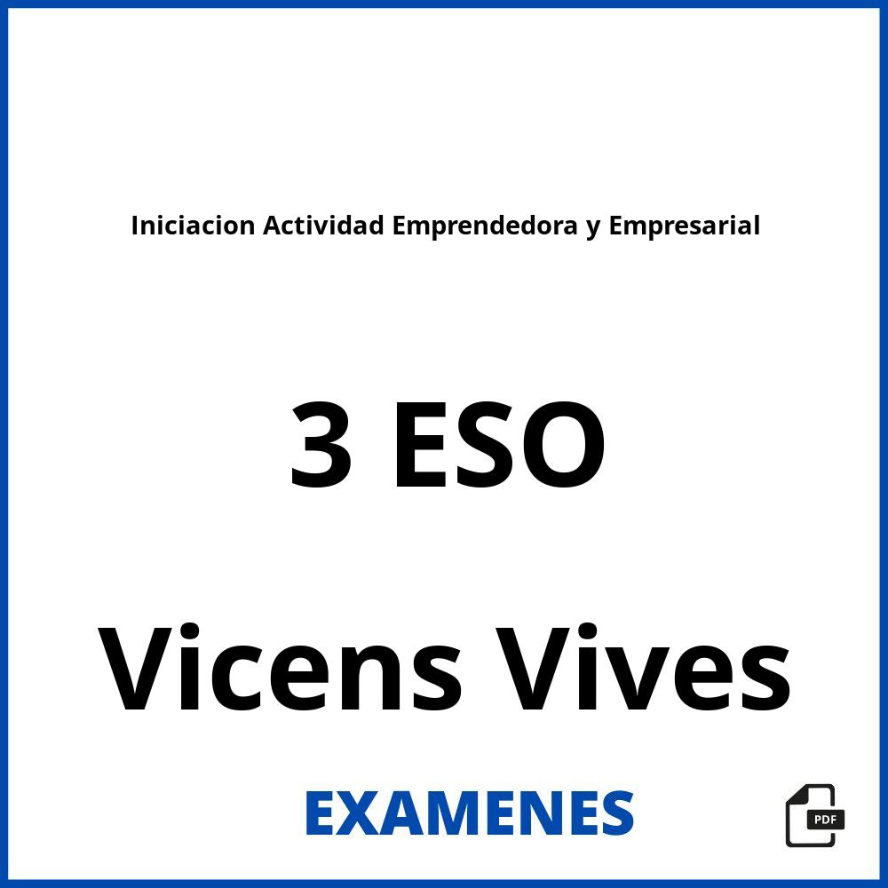 Iniciacion Actividad Emprendedora y Empresarial 3 ESO Vicens Vives