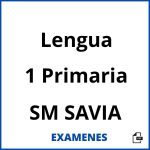 Examenes Lengua 1 Primaria SM SAVIA PDF