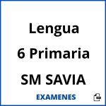 Examenes Lengua 6 Primaria SM SAVIA PDF