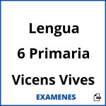 Examenes Lengua 6 Primaria Vicens Vives PDF