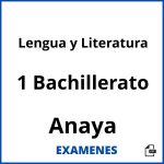Examenes Lengua y Literatura 1 Bachillerato Anaya PDF