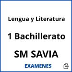 Examenes Lengua y Literatura 1 Bachillerato SM SAVIA PDF