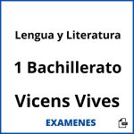 Examenes Lengua y Literatura 1 Bachillerato Vicens Vives PDF