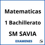 Examenes Matematicas 1 Bachillerato SM SAVIA PDF
