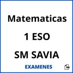 Examenes Matematicas 1 ESO SM SAVIA PDF