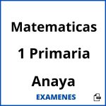 Examenes Matematicas 1 Primaria Anaya PDF