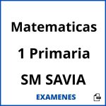 Examenes Matematicas 1 Primaria SM SAVIA PDF