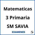 Examenes Matematicas 3 Primaria SM SAVIA PDF