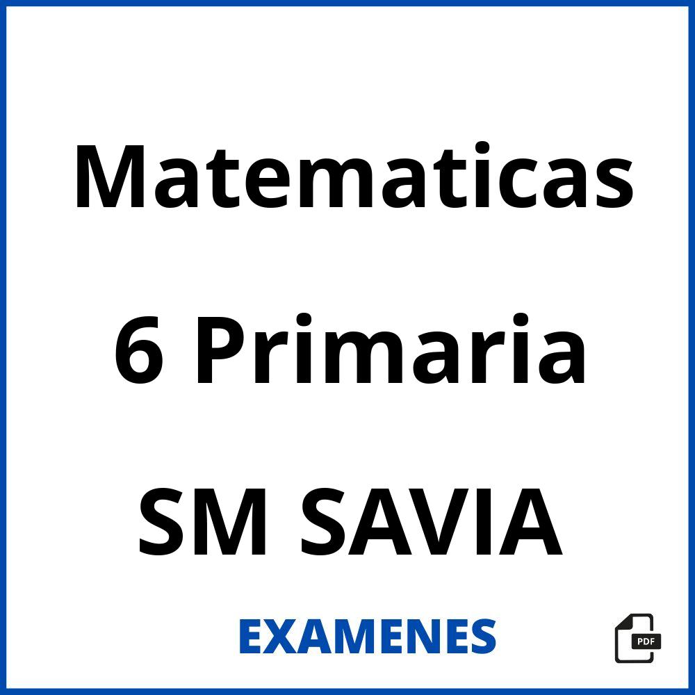 Matematicas 6 Primaria SM SAVIA