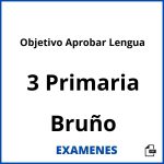 Examenes Objetivo Aprobar Lengua 3 Primaria Bruño PDF