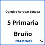 Examenes Objetivo Aprobar Lengua 5 Primaria Bruño PDF