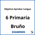 Examenes Objetivo Aprobar Lengua 6 Primaria Bruño PDF