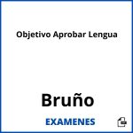 Examenes Objetivo Aprobar Lengua Bruño PDF