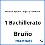 Examenes Objetivo Aprobar Lengua y Literatura 1 Bachillerato Bruño PDF